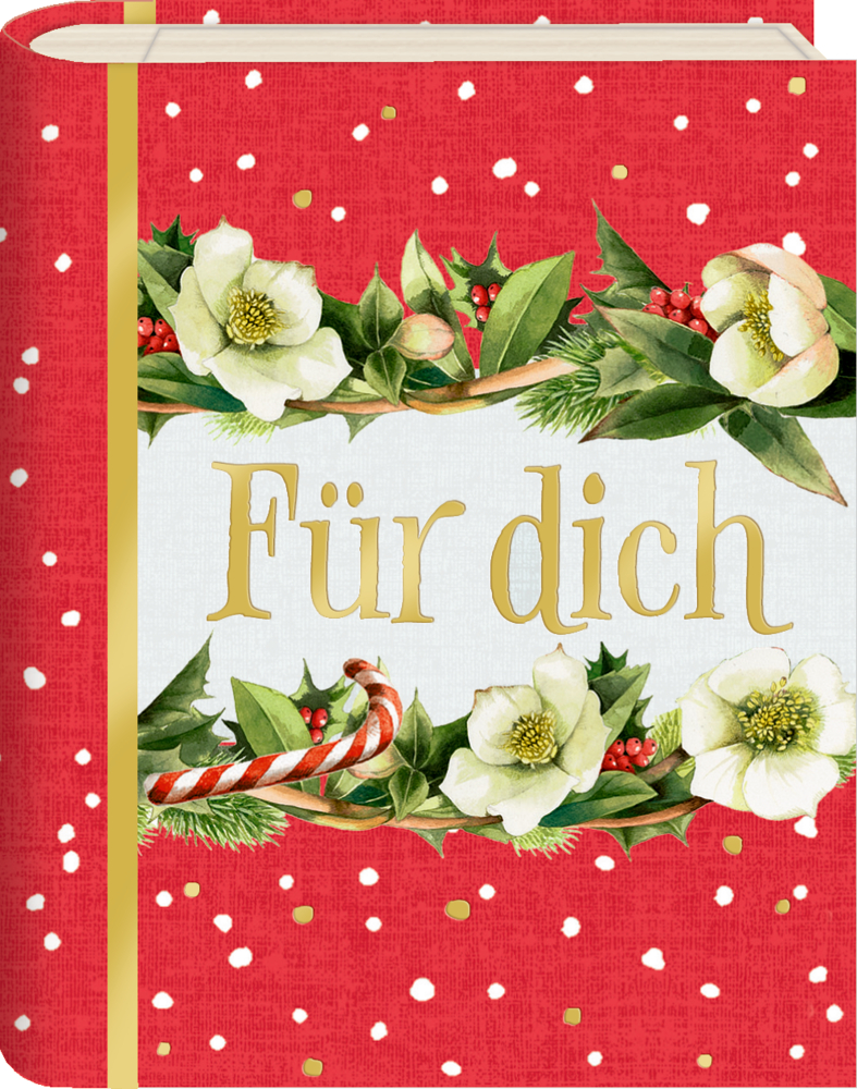 Wunscherfüller im Buchformat: Zauberhafte Weihnachten (Bastin)