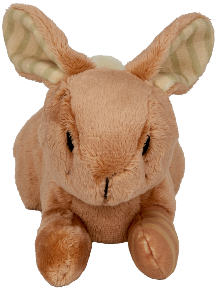 Brauner Plüschhase mit gestreiften Innenohren und Pfoten, nach vorne gerichtet.