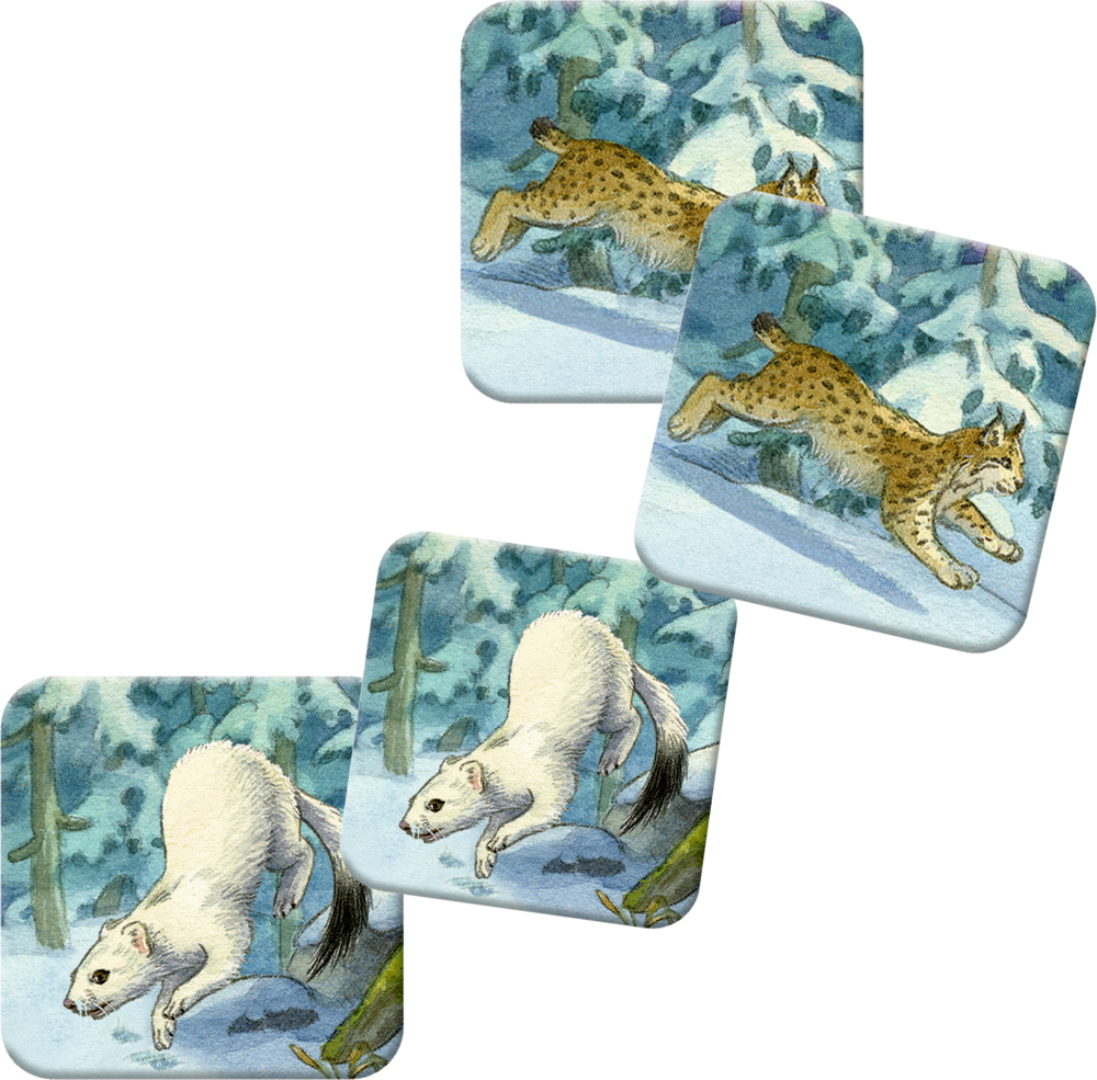Ein Luchs und ein weißes Wiesel in einem verschneiten Wald, dargestellt auf vier quadratischen, illustrierten Kärtchen.