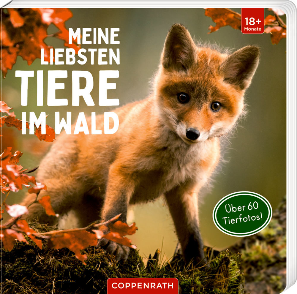 Meine liebsten Tiere im Wald Junger Fuchs auf einem Baumstamm im Wald, Cover eines  Kinderbuchs über Waldtiere.