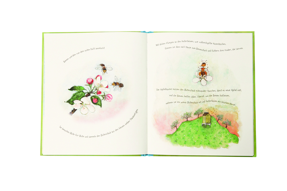 Aufgeschlagenes Kinderbuch mit Bienenzeichnungen, rosa Blumen, grünem Gras und handgeschriebenem Text auf weißen Seiten.