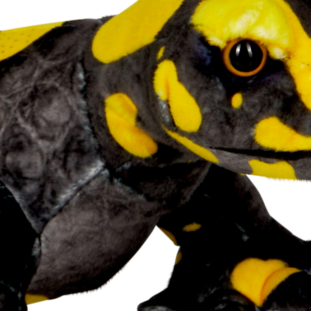 Nahaufnahme eines schwarz-gelben Salamanders, bei der sein Auge und sein einzigartiges Fleckenmuster hervorgehoben werden.