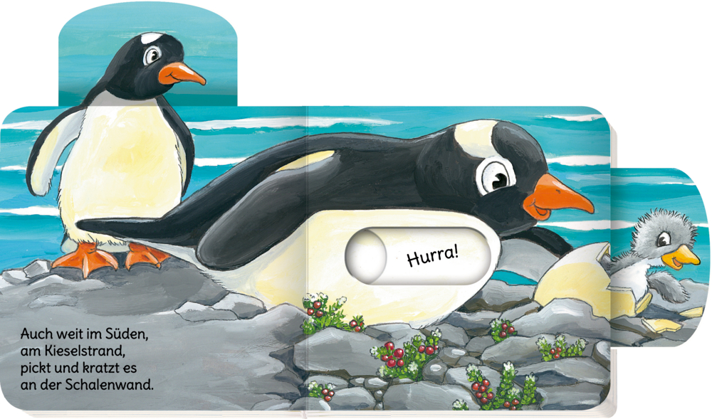 Ein erwachsener Pinguin und sein Küken stehen auf Felsen am Meer; „Hurra!“ ertönt, als ein weiteres Küken aus seinem Ei schlüpft.