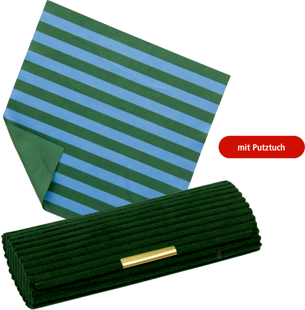 Grünes Brillenetui mit goldfarbenem Verschluss und blau-grün gestreiftem Putztuch.