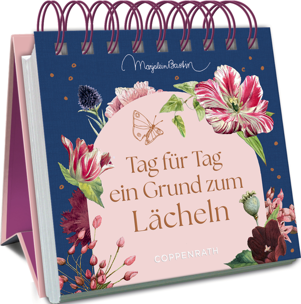 Kleines Spiralaufstellbuch: Tag für Tag ein Grund zum Lächeln (Bastin)