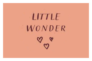 Little Wonder