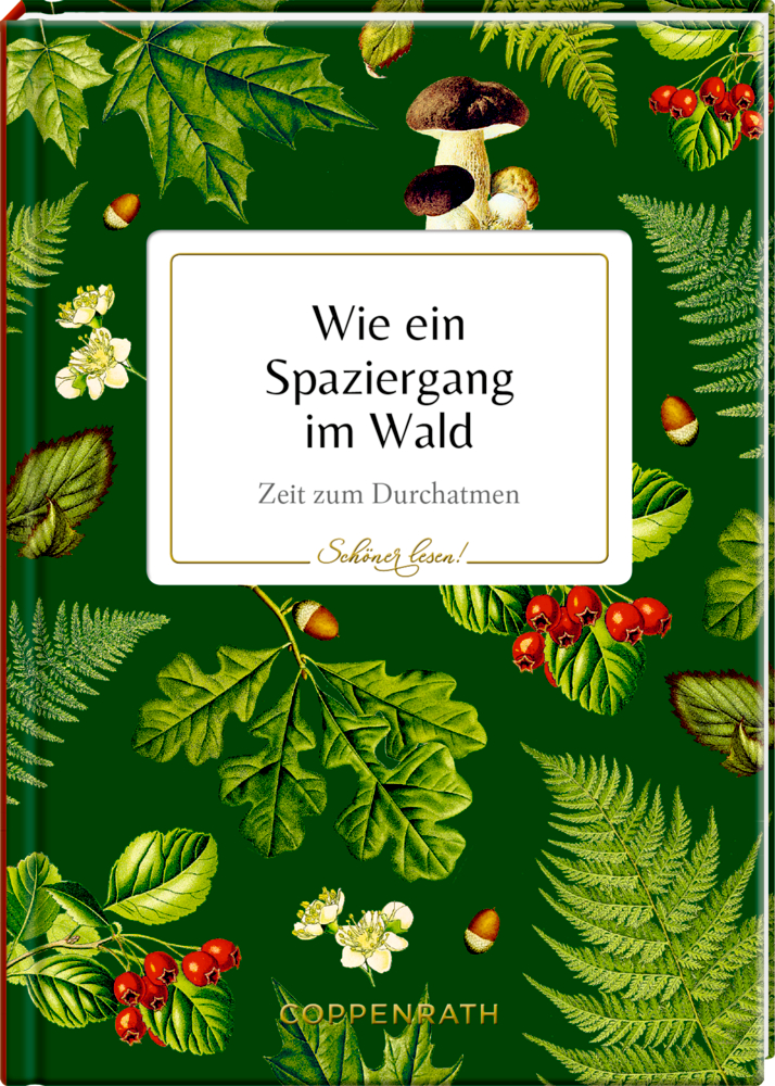 Schöner lesen! No. 18: Wie ein Spaziergang im Wald - Sammlung Augustina