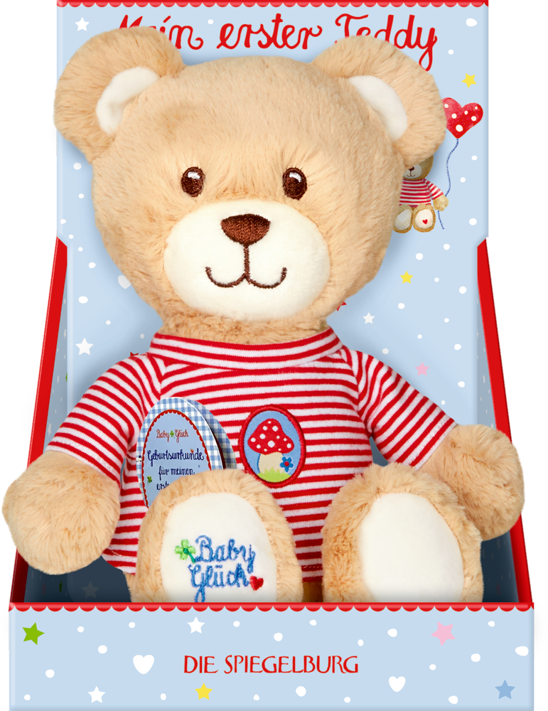 Plüschteddybär im rot gestreiften Hemd sitzt in einer blauen Schachtel mit der Aufschrift „Mein erster Teddy“.