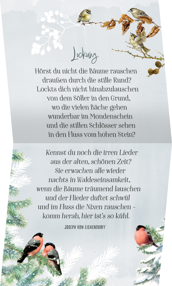 s Gedicht, Vögel sitzen auf den oberen Ästen, Tannenzweige und Gimpel darunter.
