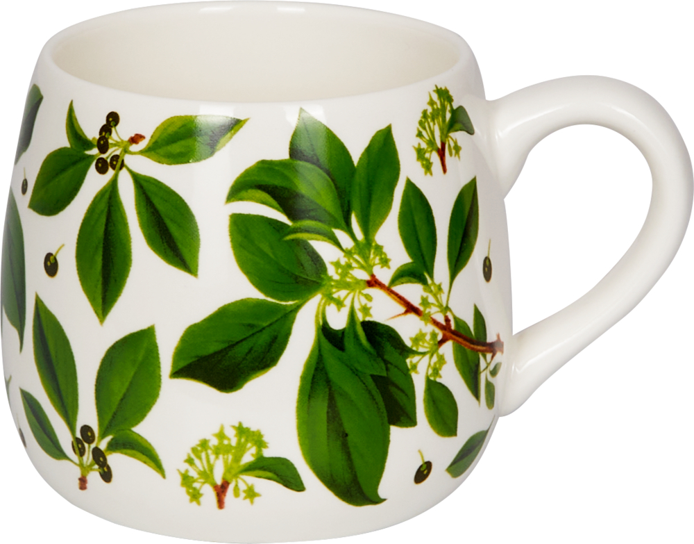 Porzellan-Tasse "Botanik" - Sammlung Augustina