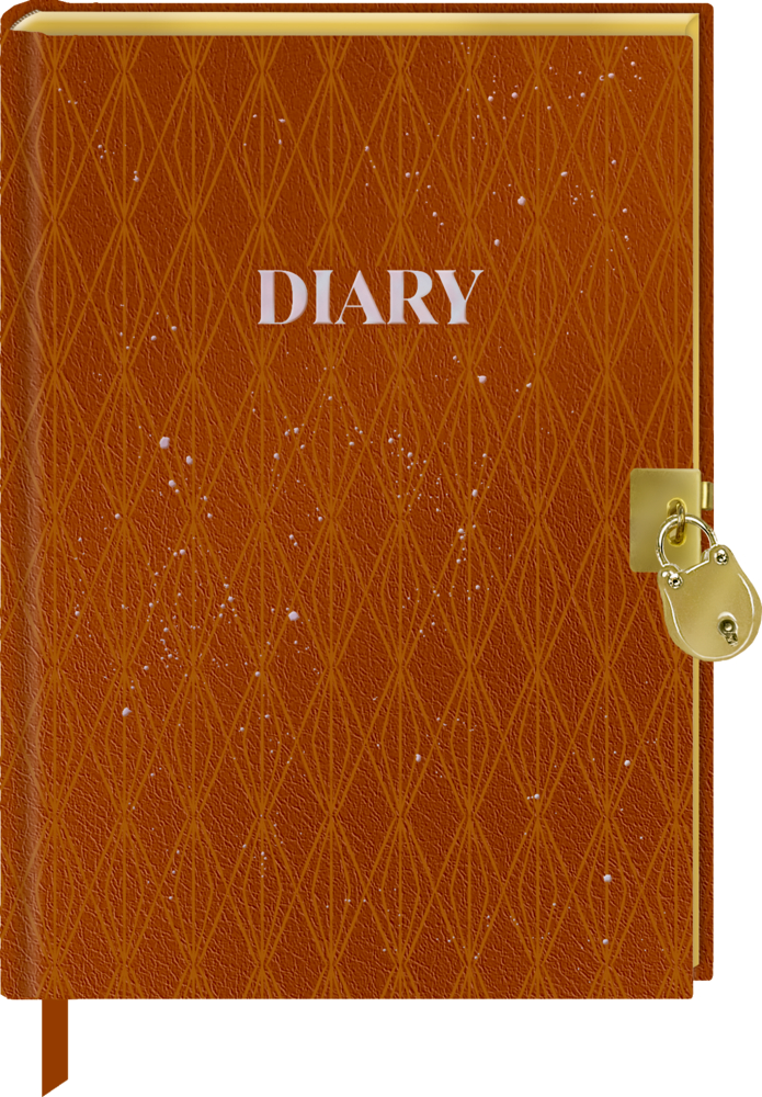 Tagebuch mit Schloss Diary - BücherLiebe Tagebuch mit Schloss Diary - BücherLiebe