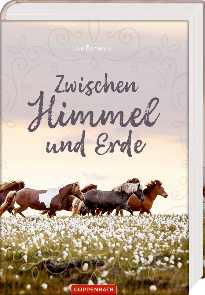Zwischen Himmel und Erde