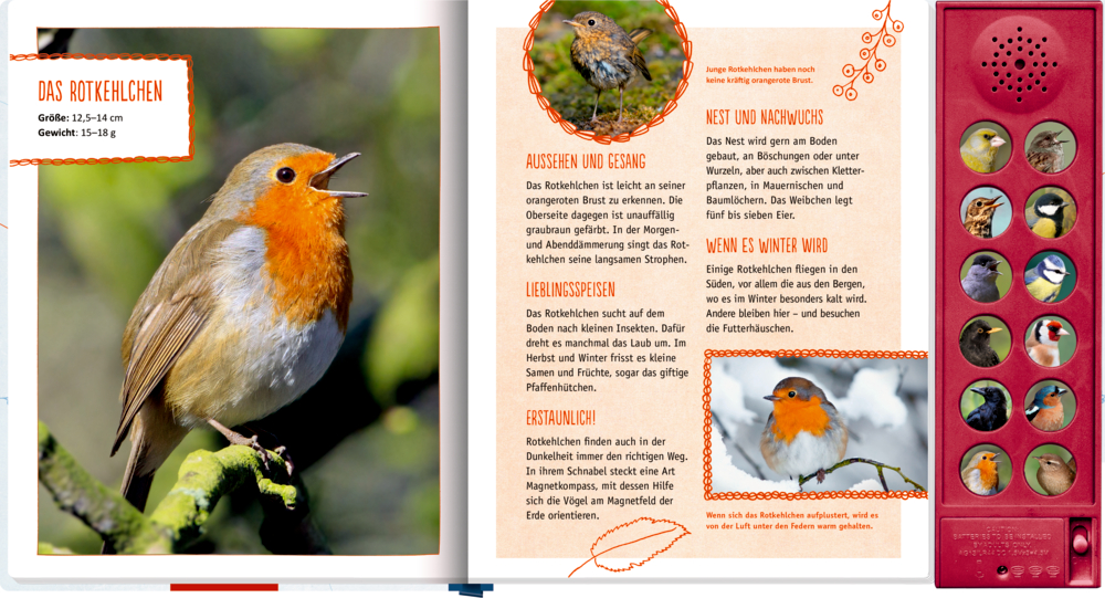 Links: Ein Rotkehlchen sitzt auf einem Ast. Rechts: Buchseite mit Text und ein Vogel-Sound-Panel.