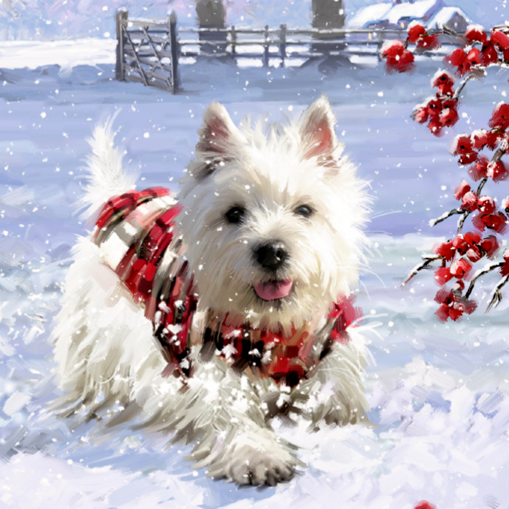 Flauschiger weißer Hund im karierten Hundepullover spielt im Schnee neben roten Beeren, im Hintergrund ein schneebedeckter Zaun.