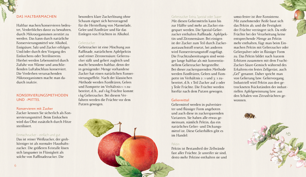 Eine Buchseite mit Text zur Konservierung von Obst, verziert mit Abbildungen von Äpfeln, Blättern und Blumen.