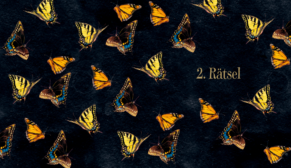 Doppelseite auf der mehrere gelbe und orange Schmetterlinge auf dunklem Hintergrund abgebildet sind mit der Aufschrift „2. Rätsel“ auf der rechten Seite.