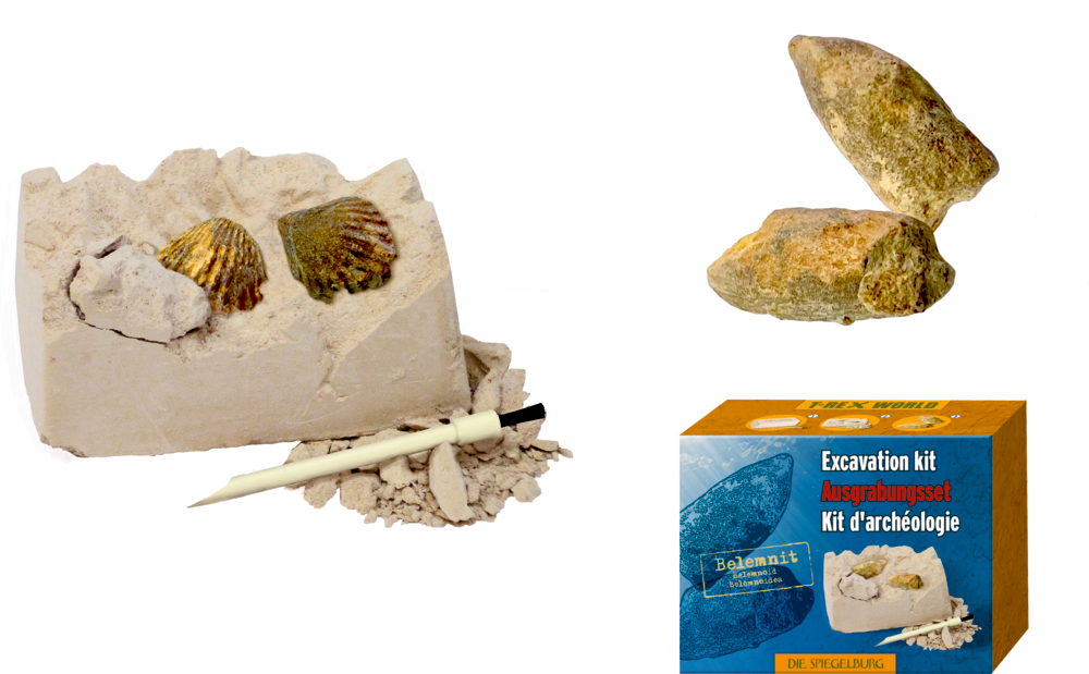 Gipsblock mit Fossilien, daneben Gipsbrösel und ein Pinsel. Außerdem Darstellung der Produktbox.