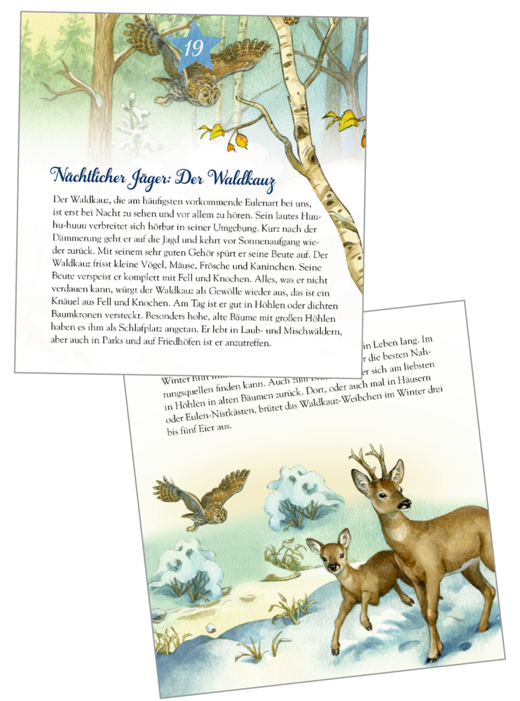 Zwei Blätter mit Text und Illustrationen von Eulen und REhen im Wald.
