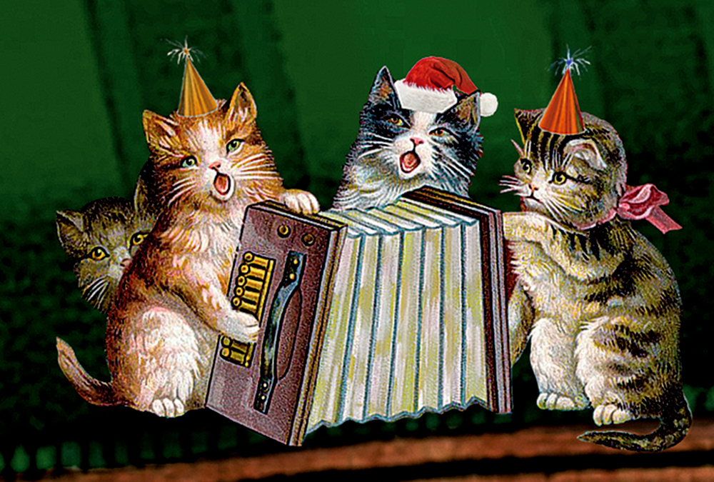 Vier Katzen, zwei mit Partyhüten –, eine mit einer Weihnachtsmannmütze – spielen Akkordeon und singen zusammen.