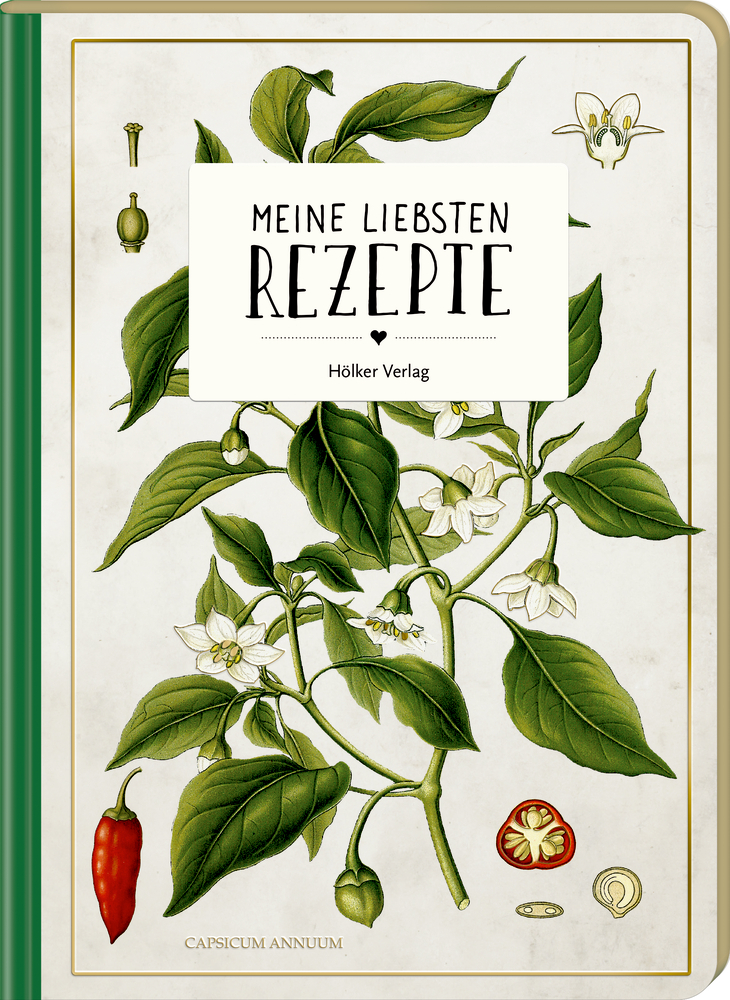 Meine liebsten Rezepte - Wildkräuter (Einschreibbuch/AUGUSTINA) Illustriertes Rezeptbuchover mit roter Paprika, Blättern, Blüten; Titel „Meine Liebsten Rezepte“.