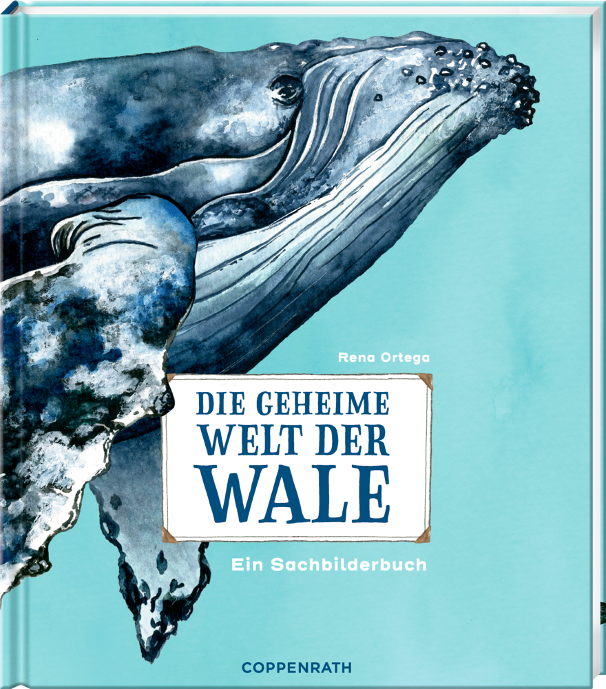 Die geheime Welt der Wale - Ein Sachbilderbuch