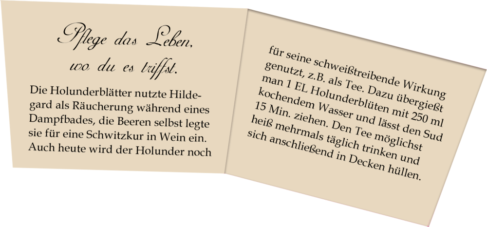 Leben mit der Natur - Hildegard von Bingen, Wand-Adventskalender (Behr) Leben mit der Natur - Hildegard von Bingen, Wand-Adventskalender (Behr)