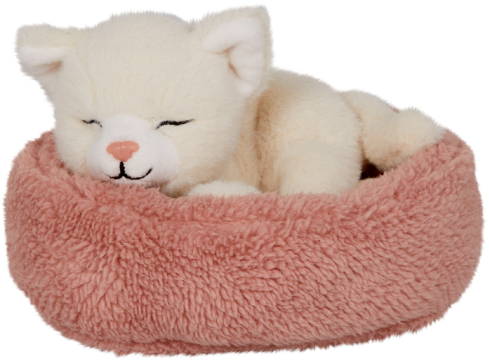Schlafende Katze Penny im Korb - Lustige Tierparade Ein weißes Plüschkätzchen schläft zusammengerollt in einem weichen, rosa, runden Haustierbett.