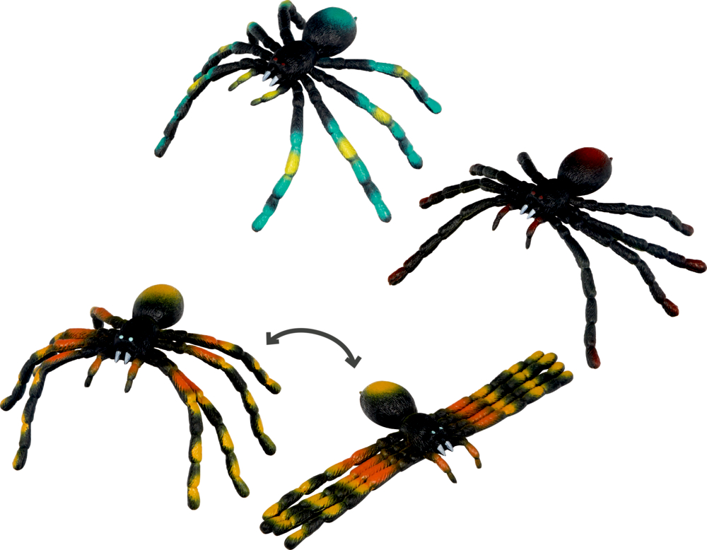 Biege-Spinne - Wild+Cool Vier bunte Spinnen; eine faltet ihre Beine und veranschaulicht so den Übergang zwischen verschiedenen Beinpositionen.