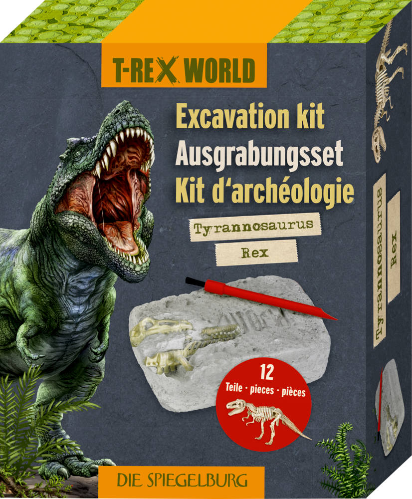 Ausgrabungsset T-Rex - T-Rex World Graue Pappbox mit brüllendem T-Rex und einem Ausgrabungsset.