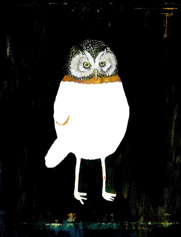 Komische Vögel Komische Vögel