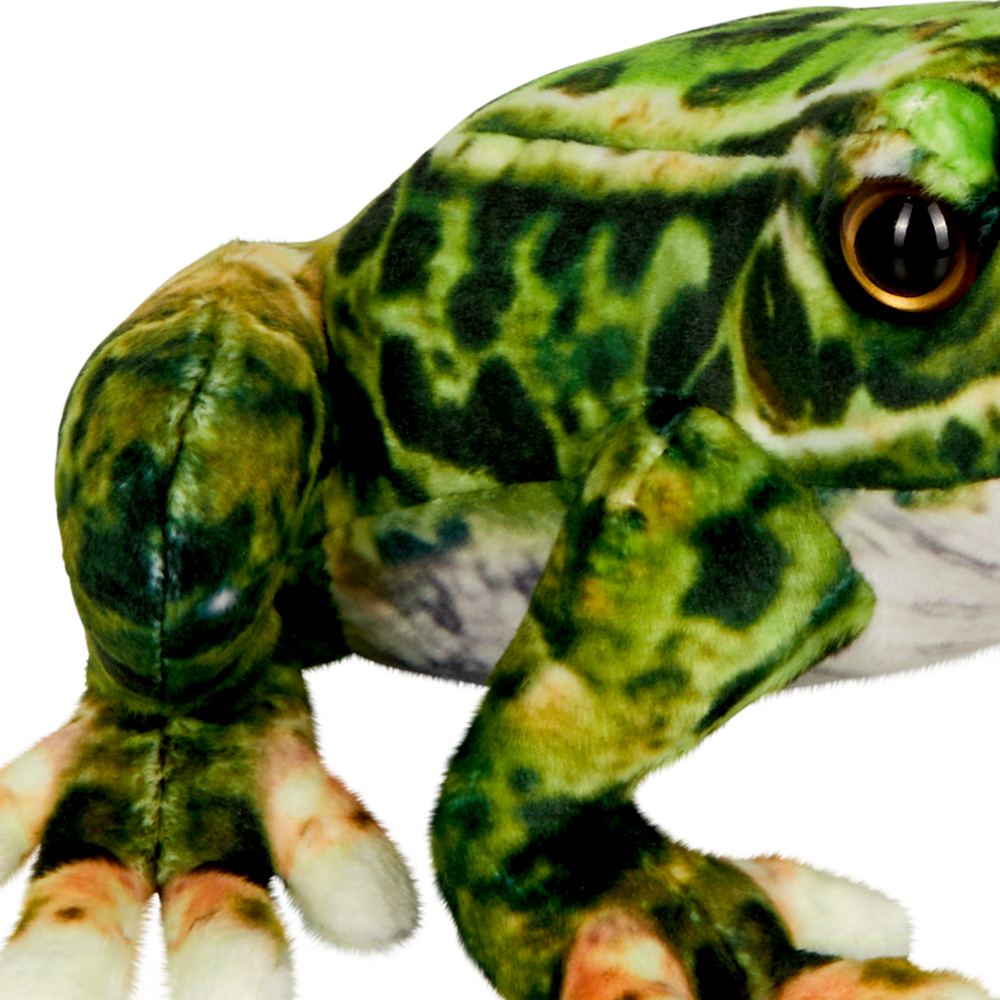 Nahaufnahme eines grün-braunen Plüschfroschspielzeugs, dessen Auge und Vorderbeine auf weißem Hintergrund hervorgehoben sind.