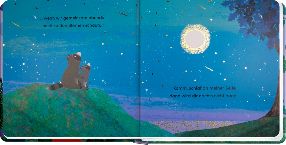 Zwei Waschbären sitzen auf einem grünen Hügel und schauen in den sternenklaren Nachthimmel mit Mond.