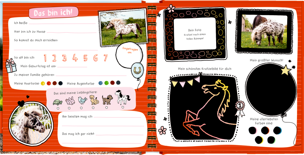 Pony Dotti - Meine Kindergartenfreunde (Freundebuch mit Kratzel-Spaß)