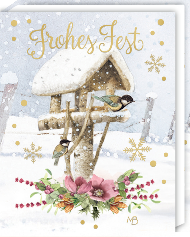 Weißes Büchlein mit verschneitem Vogelhaus, zwei Meisen und Blumendekoration im Schnee, darüber goldener Schriftzug „Frohes Fest“.
