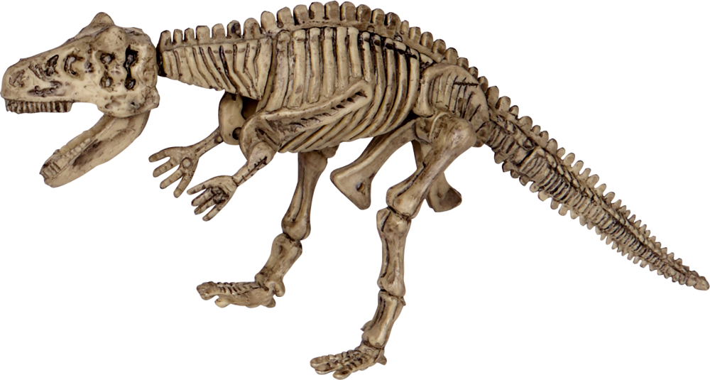Großes Ausgrabungsset Carnotaurus - T-Rex World