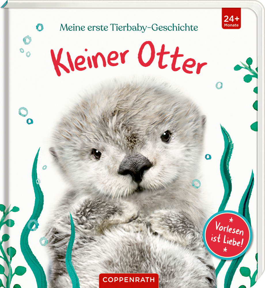 Meine erste Tierbaby-Geschichte: Kleiner Otter