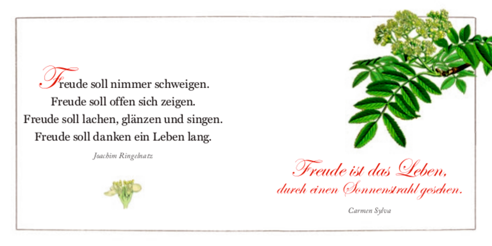 BiblioPhilia: Freude soll dich stets begleiten - Sammlung Augustina