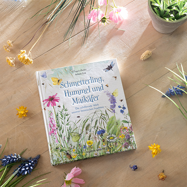 Geschenkbuch Schmetterling, Hummel und Maikäfer Cover Geschenkbuch Schmetterling, Hummel und Maikäfer von Blumen umgeben