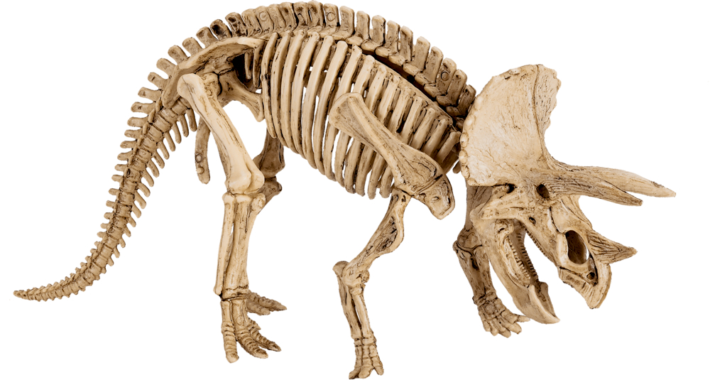 Großes Ausgrabungsset Triceratops - T-Rex World