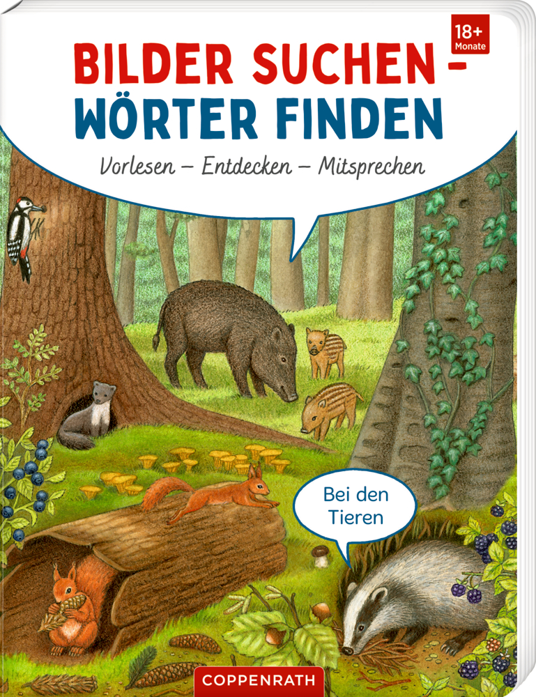 Bilder suchen - Wörter finden: Bei den Tieren (BuchBONUS) Buchcover von "Bilder suchen - Wörter finden", mit Waldillustration von Wildschwein, Dachs, Fuchs, Eichhörnchen, Specht und Pilzen zwischen Bäumen.