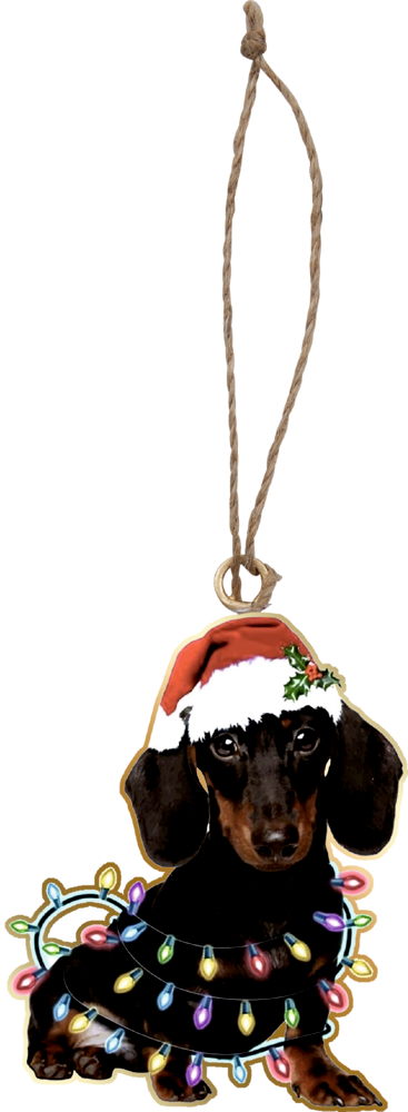 Anhänger mit Abbildung eines schwarzbraunen Dackels, mit Weihnachtsmütze und bunter Lichterkette umwickelt, an brauner Kordel.