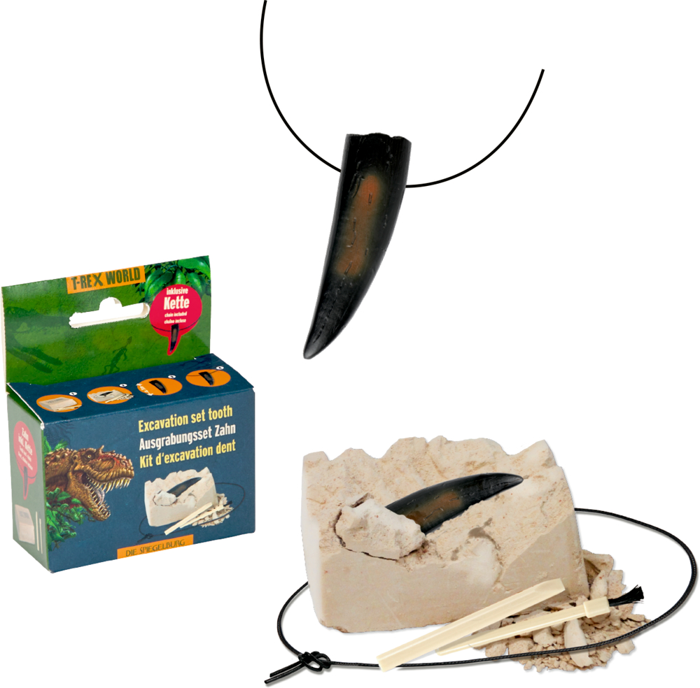 T. rex Ausgrabungsset mit Zahnreplik, Grabwerkzeugen, Gipsblock und Kettenband.