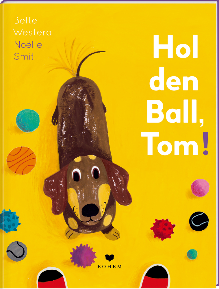 Hol den Ball, Tom! Dackel mit bunten Bällen auf gelbem Hintergrund, mit dem Titel des Buchs.