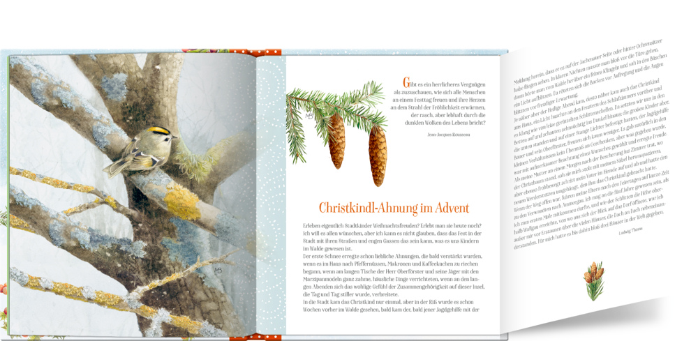 Adventskalenderbuch: Zauberhafte Weihnachtszeit! (M.Bastin)