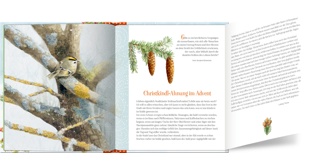 Adventskalenderbuch: Zauberhafte Weihnachtszeit! (M.Bastin) Adventskalenderbuch: Zauberhafte Weihnachtszeit! (M.Bastin)