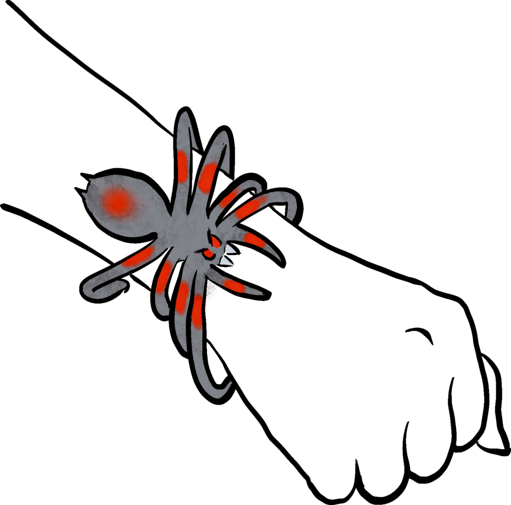 Eine große Spinne mit roten Markierungen ist um das Handgelenk einer Person gewickelt und ähnelt einem Armband.