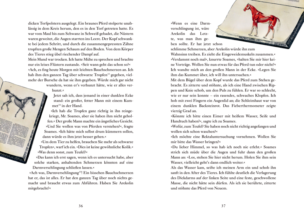 Kleine Schmuckausgabe: J. Herriot, Der Doktor und das liebe Vieh - Als Tierarzt in den grünen Hügeln von Yorkshire