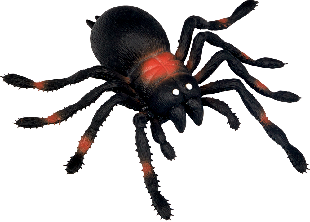 Eine schwarze Spinne mit roten Markierungen und acht Beinen, von oben vor einem weißen Hintergrund gesehen.