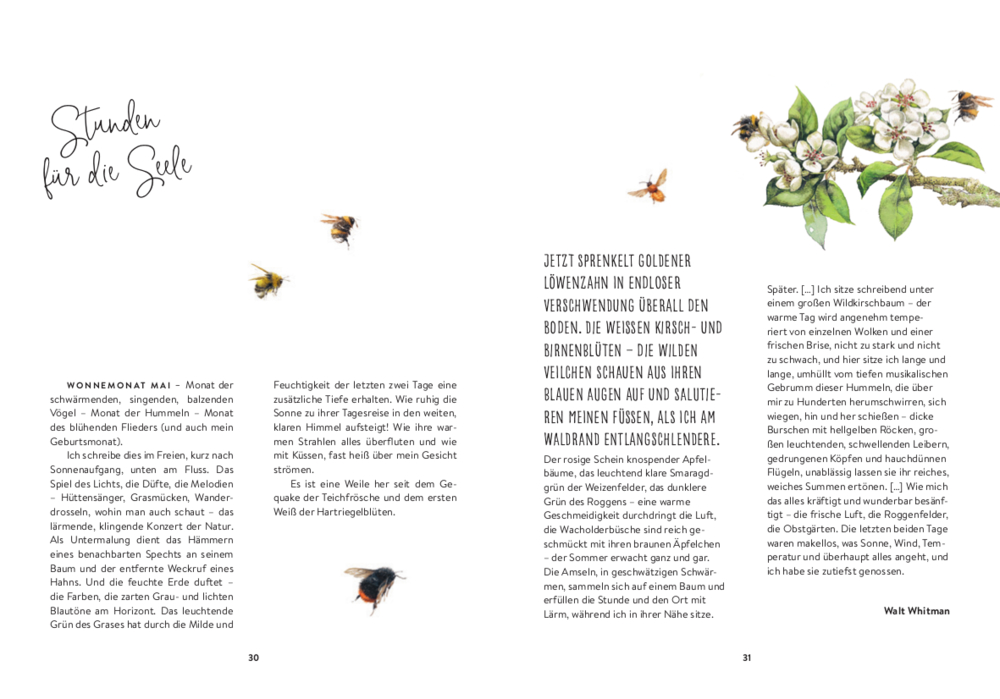 LeseLiebe: Komm zur Ruhe, finde neue Kraft (Bastin) LeseLiebe: Komm zur Ruhe, finde neue Kraft (Bastin)