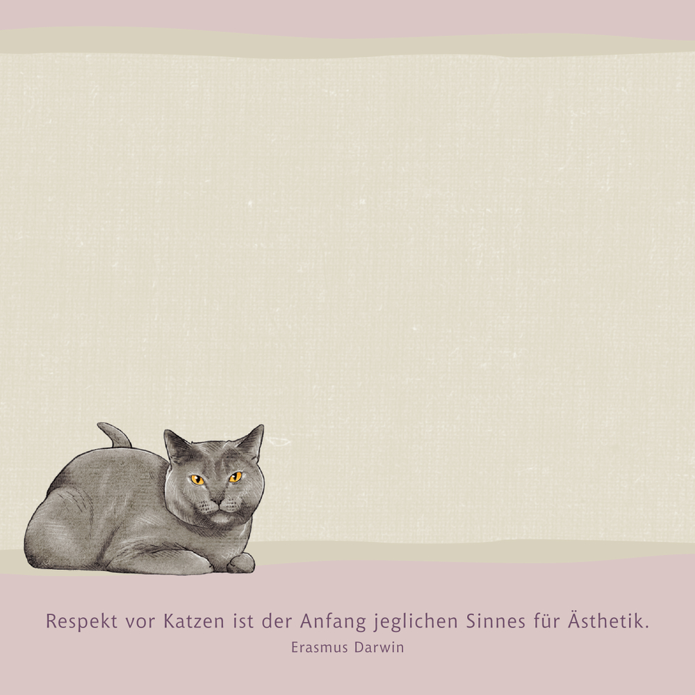 Graue Katze ruht über einem Zitat von Erasmus Darwin über Katzen und Ästhetik.